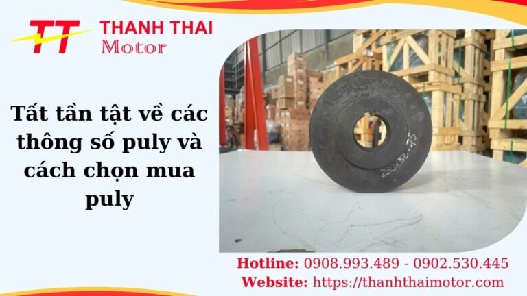 Thông số puly