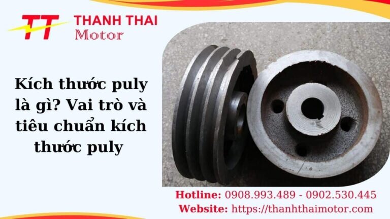 Kích thước puly