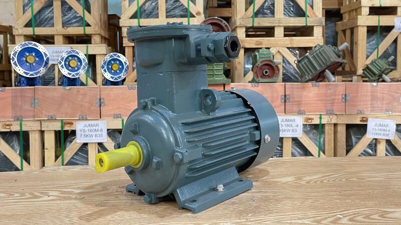 Criteria for purchasing an explosion-proof motor