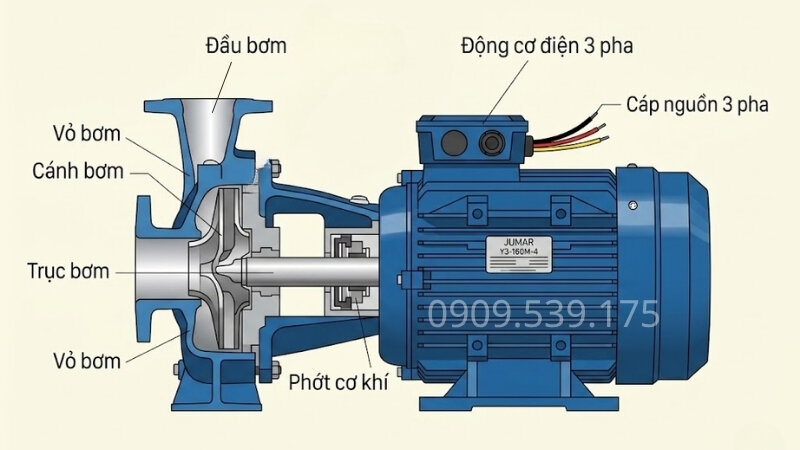 Cấu tạo máy bơm nước 3 pha
