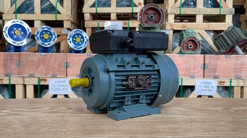 Động cơ điện dưới 3.7kW tại Thành Thái Motor.