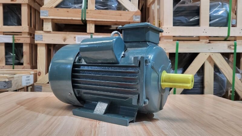 Động cơ điện trên 3/7kW tại Thành Thái Motor.