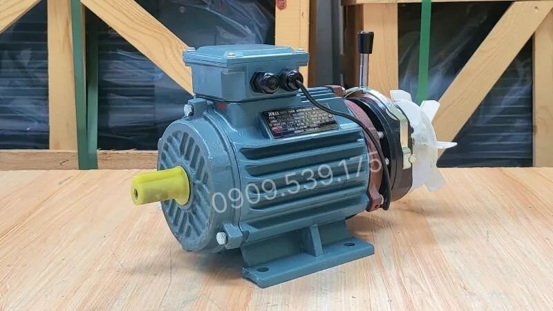Brake Motor