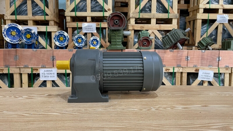 Gear Motors from 1.1kW to 3.7kW at Thanh Thai Motor.