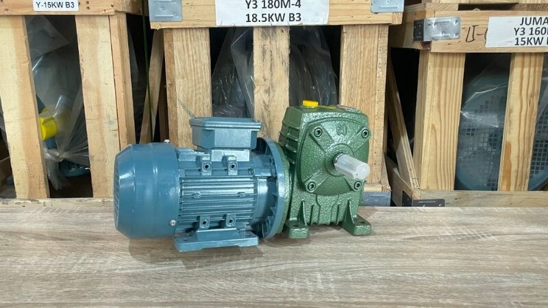 Worm gear motor under 1.1kW