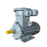 Motor phòng nổ
