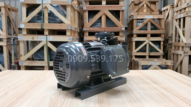 Máy bơm nước TECO 3 pha