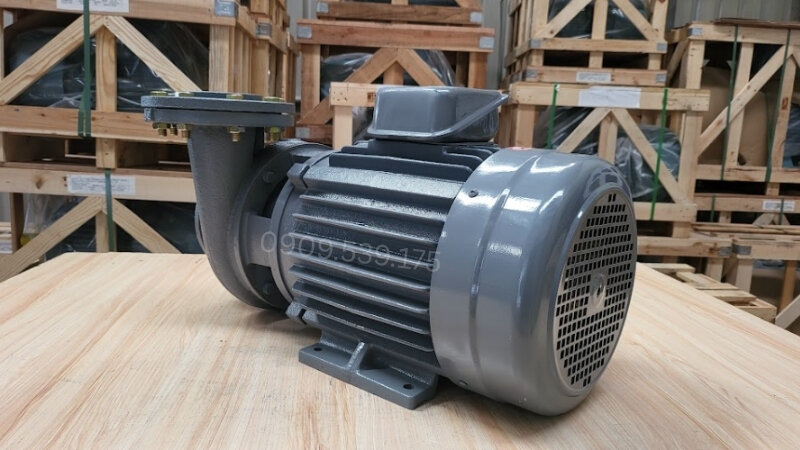 Máy bơm nước Teco trên 50m3/h