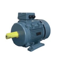 motor điện trên 3.7kW