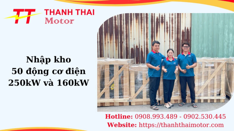 thanh-thai-nhap-kho-50-motor-dien-dau-nam
