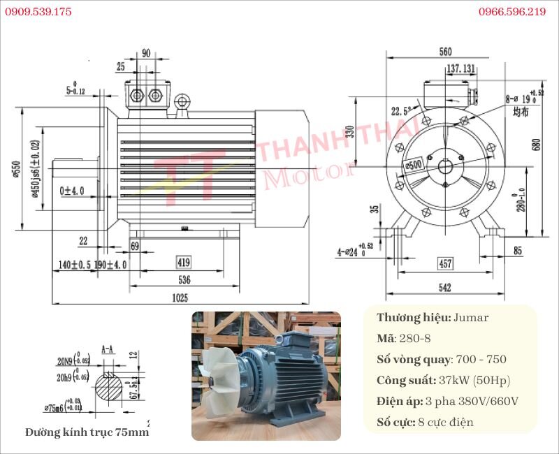Bản vẽ và thông số kỹ thuật động cơ điện 37W 50Hp 8 cực phanh