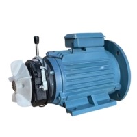 Có phanh trên 3.7kW