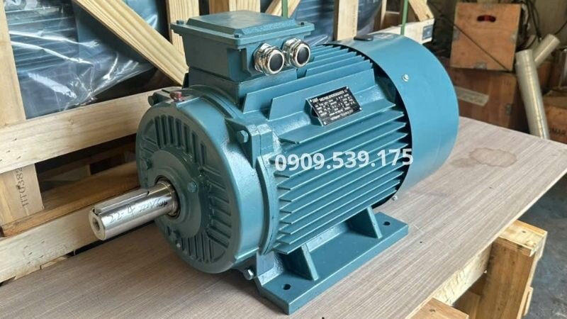 1-Phase Electric Motors above 3.7kW at Thanh Thai Motor.