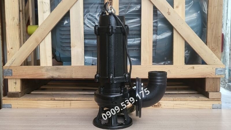 1-Phase Water Pumps under 50m³/h at Thanh Thai Motor.