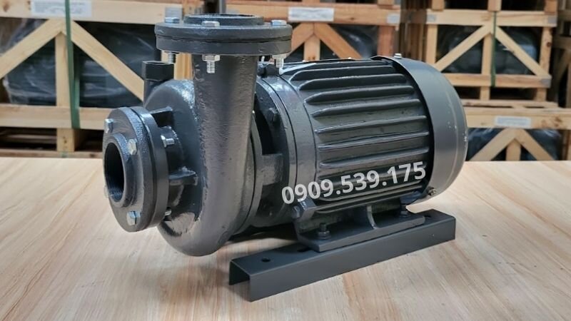 Máy bơm nước 3 pha trên 50m3/h tại Thành Thái Motor.