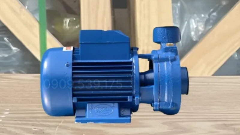 Máy bơm nước cá sấu dưới 50m3