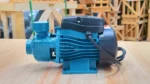 Góc nhìn tổng quan của Máy bơm nước đẩy cao Lepono XQm60 0.37kW 0.5Hp
