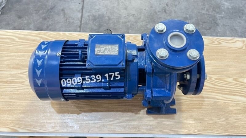 3-Phase Centrifugal Water Pump at Thanh Thai Motor.