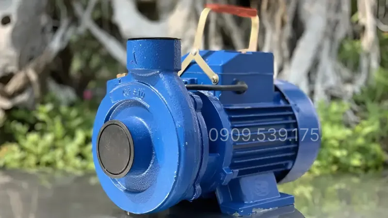 Thiết kế tổng quan Máy bơm nước cá sấu 1DK-16 i 0.37kW 0.5Hp