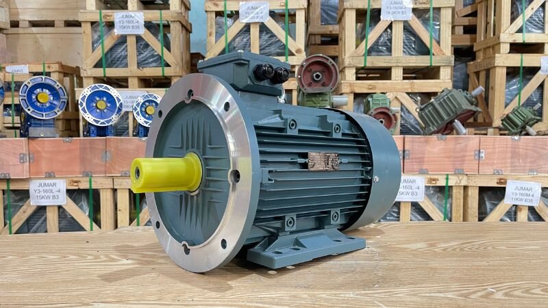 Overview of 3-Phase Electric Motor Over 3.7kW