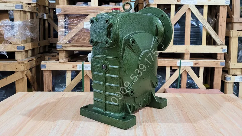 Thiết kế tổng quan về hộp giảm tốc trục vít WPDS 175
