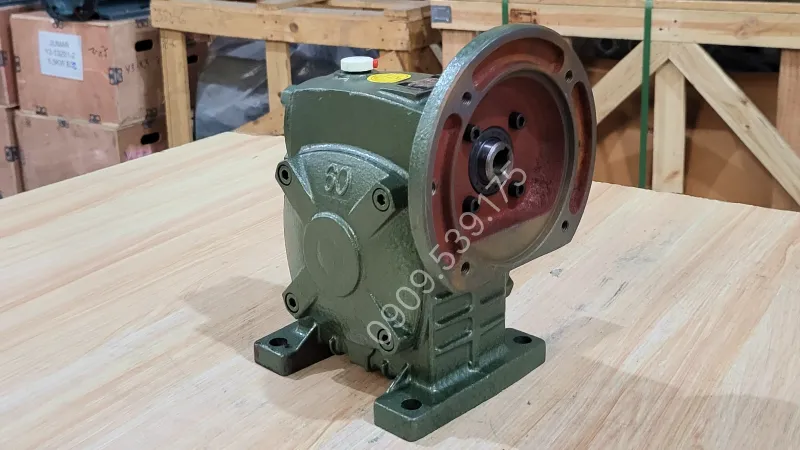 Thiết kế tổng quan về hộp giảm tốc trục vít WPDS 60