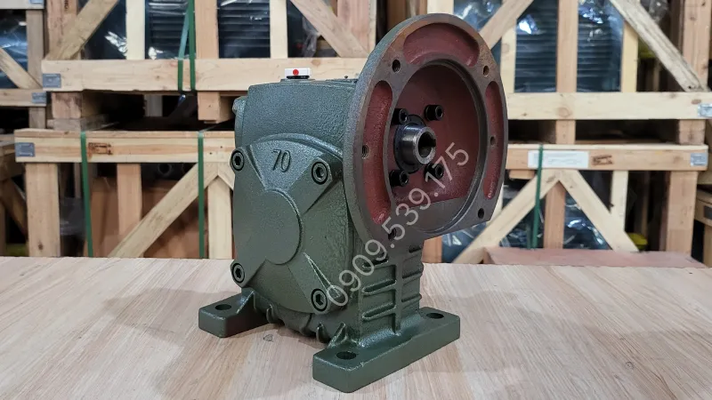 Thiết kế tổng quan về hộp giảm tốc trục vít WPDS 70