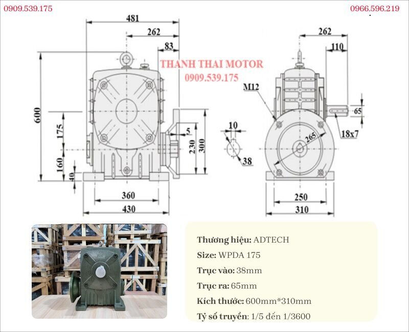 Technical specification drawing of the WPDA 175 Worm Gearbox