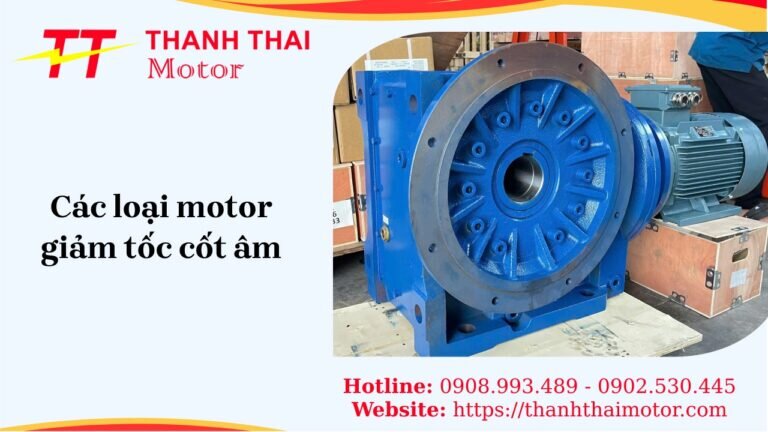 Các loại motor giảm tốc cốt âm