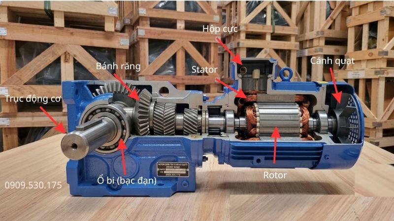 Cấu tạo bên trong của motor giảm tốc tải nặng trục vuông góc K 30kW 40Hp