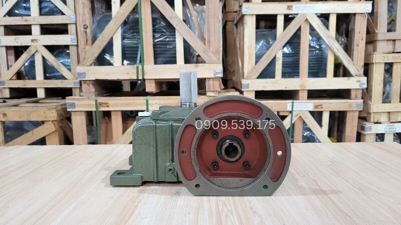 Detailed structure of the WPDO worm gearbox