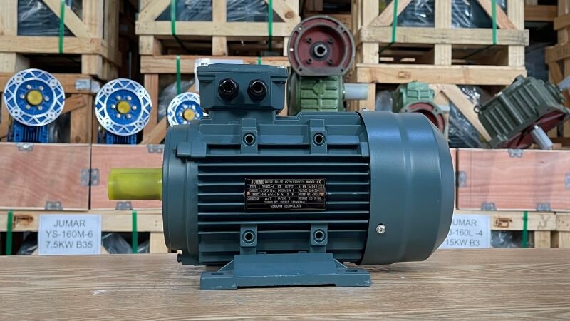 Động cơ điện 3 pha 1.5kW 2Hp tại Thành Thái Motor
