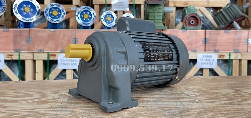 Thành Thái Motor là đơn vị chuyên cung cấp động cơ giảm tốc với nhiều năm kinh nghiệm và luôn đặt chất lượng lên hàng đầu