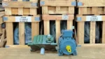 Trục của Motor giảm tốc WPX 50 0.18kW 0.25Hp
