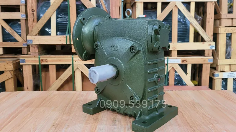 Thiết kế tổng quan hộp giảm tốc trục vít WPDS 120
