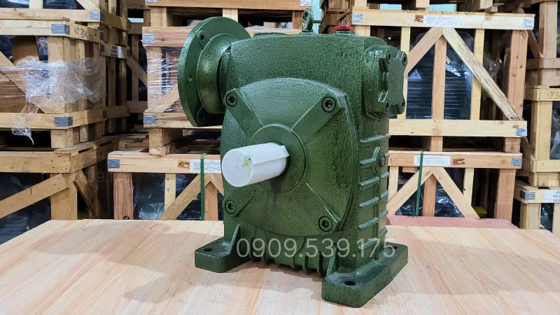 Overview design of the WPDS 155 Worm Gearbox