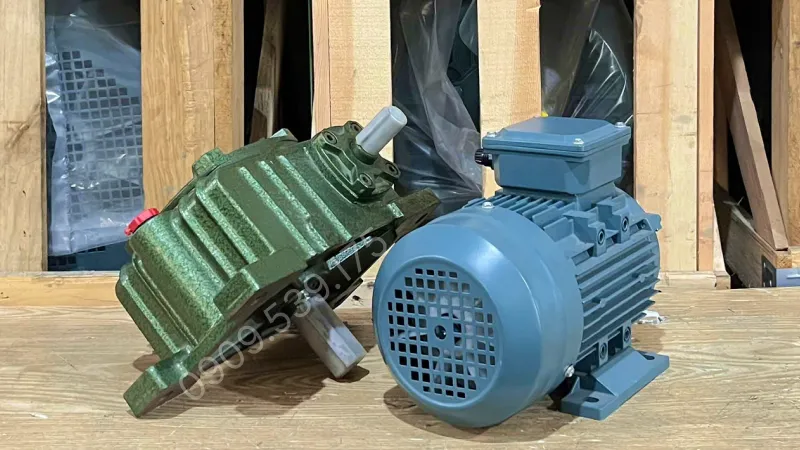 General design of gear motor WPX 50 0.18kW 0.25Hp