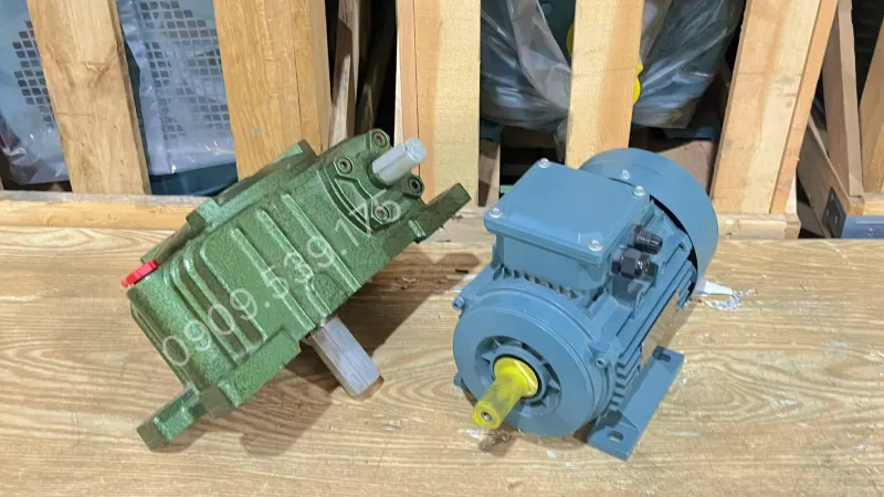 What are the applications of gear motor WPX 50 0.18kW 0.25Hp?