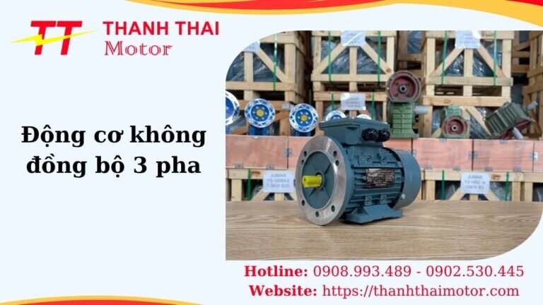 Động cơ không đồng bộ 3 pha