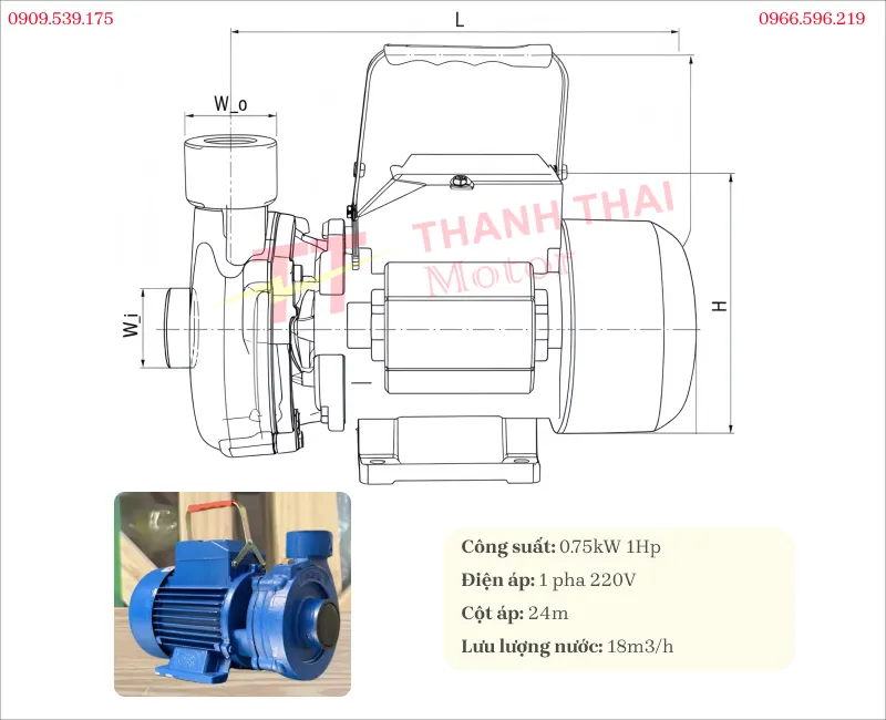Bản vẽ và thông số kỹ thuật máy bơm nước cá sấu 1.5DK-22 i 0.75kW 1Hp