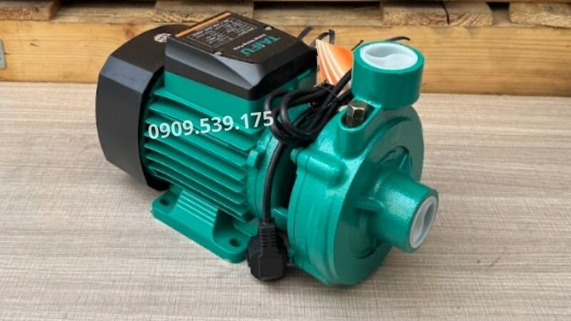 Máy bơm nước cá sấu 1 pha tại Thành Thái Motor.