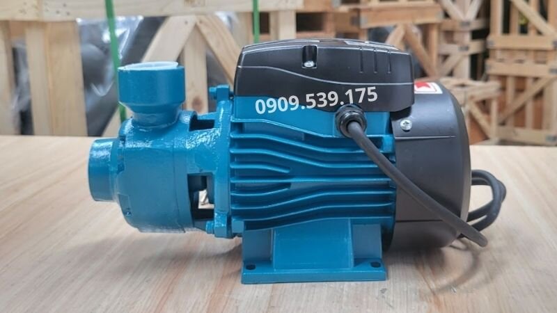 Máy bơm nước đẩy cao 1 pha tại Thành Thái Motor.