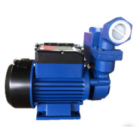 Máy bơm nước đẩy cao 1 pha