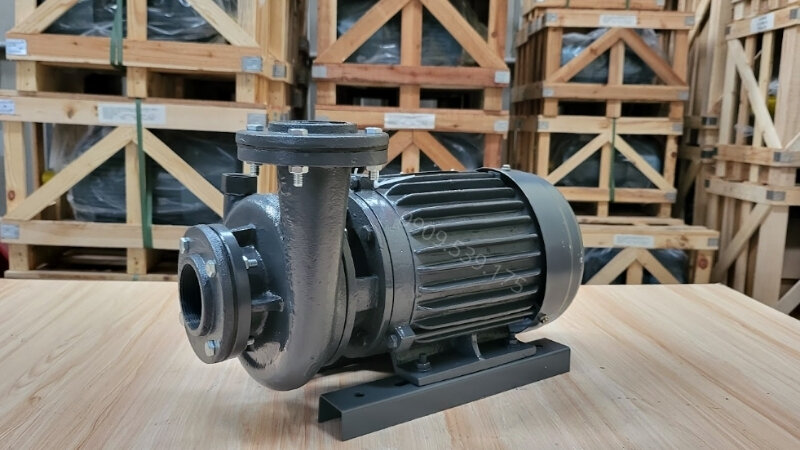 Máy bơm nước Teco 3 pha