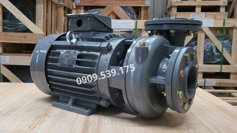 Máy bơm nước TECO 3 pha tại Thành Thái Motor.