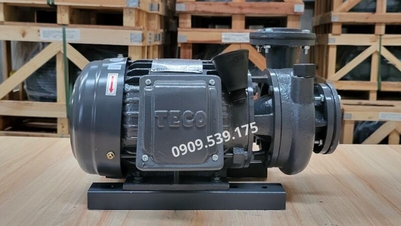 Máy bơm nước TECO dưới 50m3/h tại Thành Thái Motor.