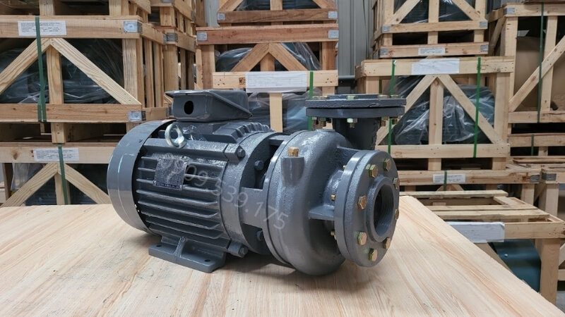 Máy bơm nước Teco trên 3.7kW