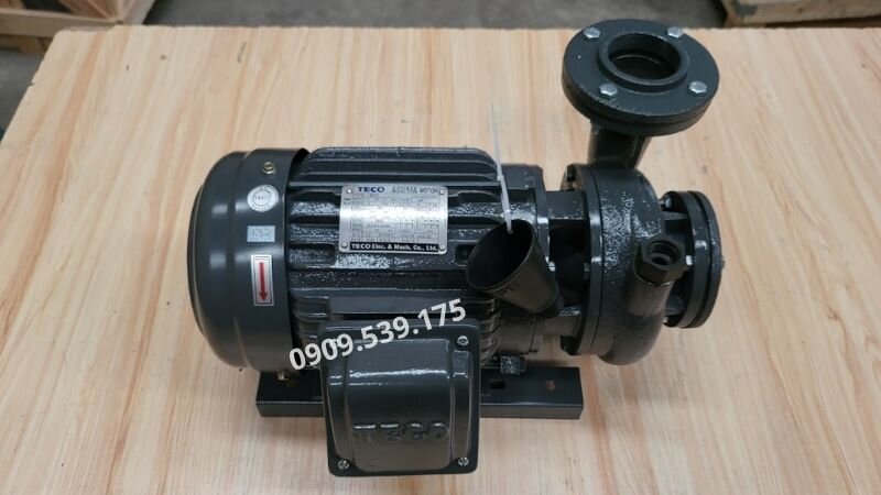 Máy bơm nước TECO trên 50m3/h tại Thành Thái Motor.