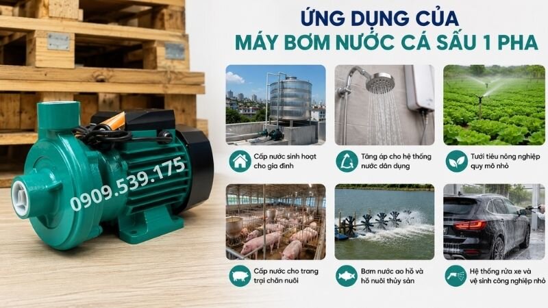 Ứng dụng của máy bơm nước cá sấu 1 pha.