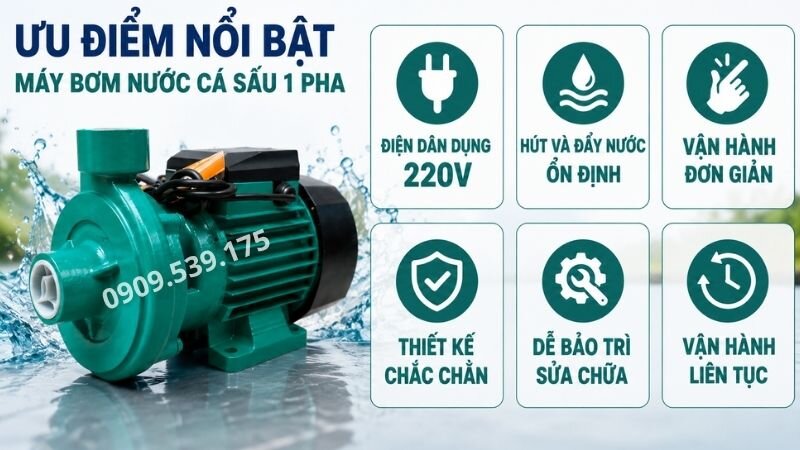Ưu điểm của máy bơm nước cá sấu 1 pha.